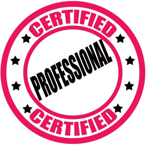 professional canstock e
