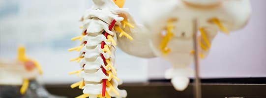 Causes of Subluxations & How Chiropractic Care Helps post