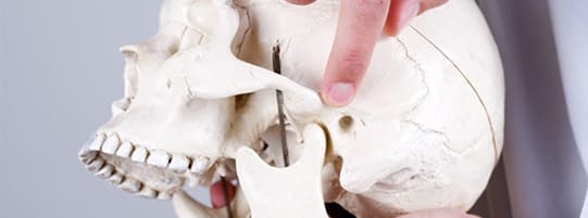 Physical Therapy for TMJ Disorder post