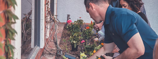 8 Ways to Reduce Neck and Back Pain While Gardening post