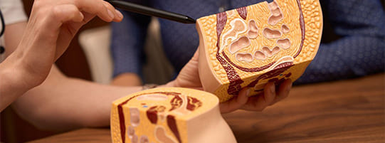 What Happens During Pelvic Floor Physical Therapy? post