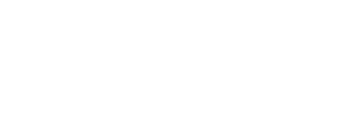 Roche Surety